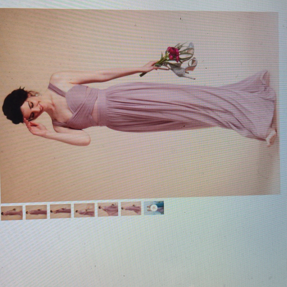 Birdy Grey "Elsye Dress" bridesmaid gown in Mesh Mauve